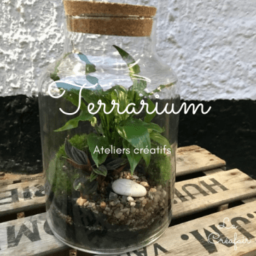 Atelier créatif terrarium